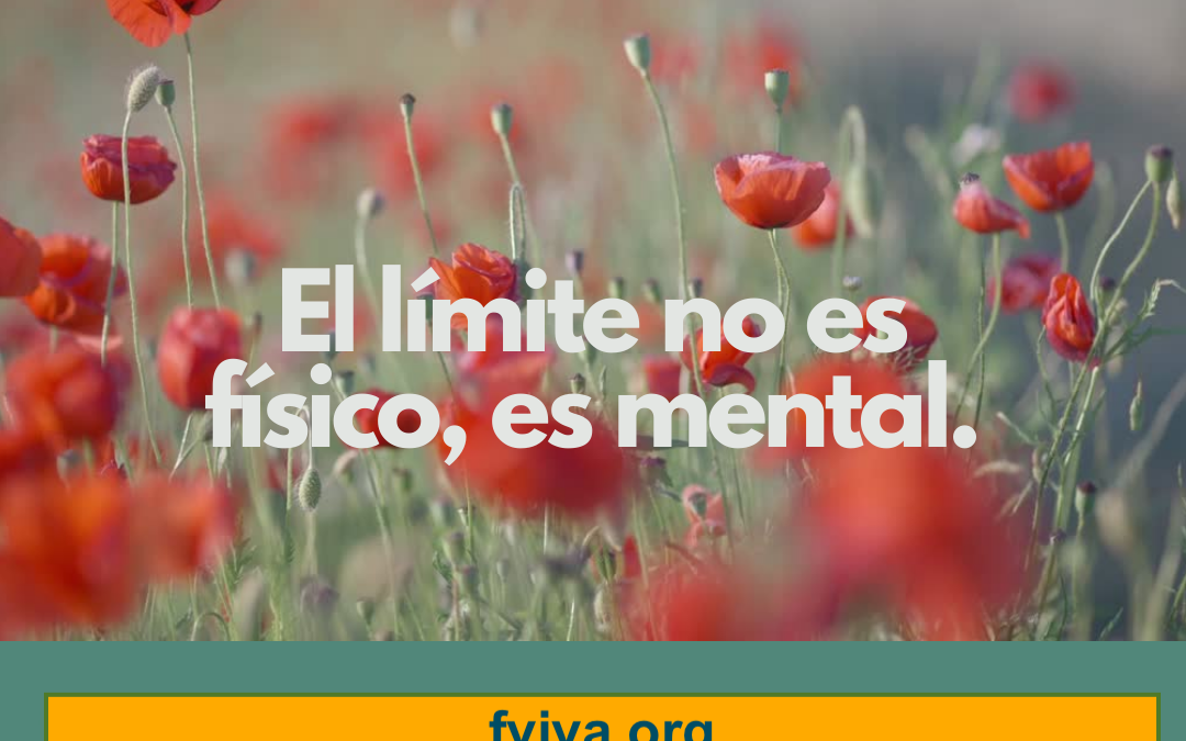 Fundación Viva promotora de bienestar